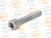 60N102511, Screw, Ducati