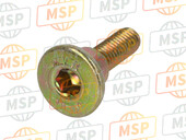 77110041A, Screw, Special, Ducati