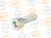 60N102556, Screw, Ducati