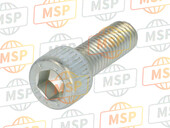 77151568C, Screw, Ducati