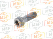 77157254B, Screw, Ducati