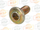 77210171A, Screw, Special, Ducati