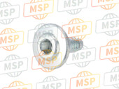 77211131A, Screw M5X9, Ducati