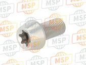 77211361AA, Screw, Special, Ducati