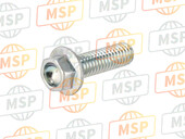 77253317C, Screw, Ducati