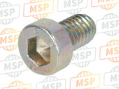 77310011A, Screw Tceir M6X10, Ducati