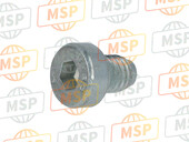 707006208, Screw Tceir M6X8, Ducati