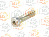 77950121B, Screw Tceir M8X30, Ducati