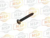 77450021A, Screw Tapping 3.9X25, Ducati