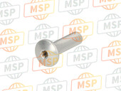 77510641A, Screw, Special, Ducati