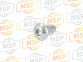 77550201A, Screw Tbei M6X10, Ducati