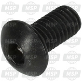 77550251A, Locking Screw, Ducati