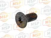 77750494C, Screw, Ducati