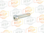 77950251A, Screw Tceir M6X25, Ducati