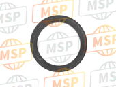 110091372, Gasket, License Plate, Kawasaki