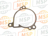 110091441, GASKET-WATER Pump, Kawasaki