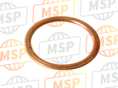 110601496, Gasket, Exhaust Pipe, Kawasaki, 1