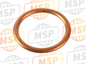 110610298, Gasket, Arrester, Kawasaki, 1