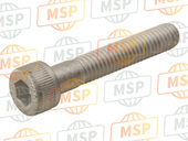 120Z0635, BOLT-SOCKET, Kawasaki