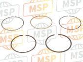 130251010, RING-SET-PISTON L,O/s 0.50, Kawasaki