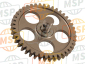 132161146, GEAR-COMP, Oil Pump, Kawasaki