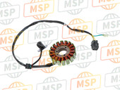 21003Y007, Stator, Kawasaki, 1