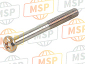 220AA0545, SCREW-PAN-CROSS, 5X45, Kawasaki, 1