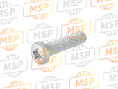 220X0625, SCREW-PAN-CROS, Kawasaki