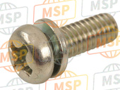 223B0308, SCREW-PAN-WS-CROS, Kawasaki