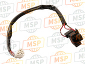 260111741, WIRE-LEAD, Head Lamp, Kawasaki