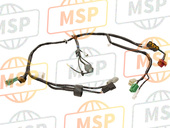 260310601, Harness,Main, Kawasaki