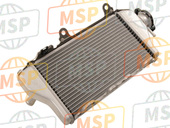 390610086, RADIATOR-ASSY, Rh, Kawasaki