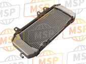 390610169, RADIATOR-ASSY, Lh, Kawasaki, 1