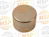 430481099, Piston Etrier Frein Z, Kawasaki