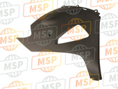 55028047418T, Cowling, Lwr, Rh, F.S.Black, Kawasaki