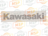 560520495, Kawasaki Emblem Tank, Kawasaki