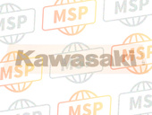 560521957, Emblem, Kawasaki