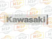 560540697, Sticker,Radiatorkap, Kawasaki