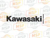 560540738, Kawasaki Emblem Tank, Kawasaki