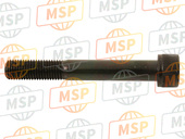 920011889, Bolt, Socket, 10X72, Kawasaki, 2