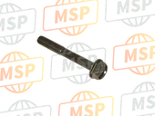 920021069, Bolt,6X45, Kawasaki