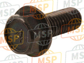 920021134, Bolt,Flanged,8X20, Kawasaki