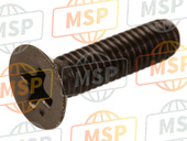 920021325, Screw,4X16, Kawasaki