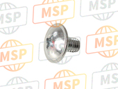 920091286, Screw,6X10,White, Kawasaki, 1