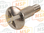 920091373, Screw, 6X10, Kawasaki