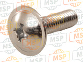 920091441, Screw, 6X22, Kawasaki