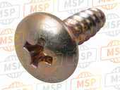 920091444, Screw,Tapping,4X12, Kawasaki, 1