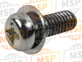 920091517, Screw, Kawasaki