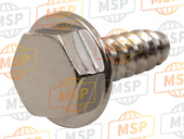 920091691, Screw, Tapping, 4X12, Kawasaki, 1