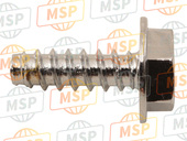 920091691, Screw, Tapping, 4X12, Kawasaki, 2